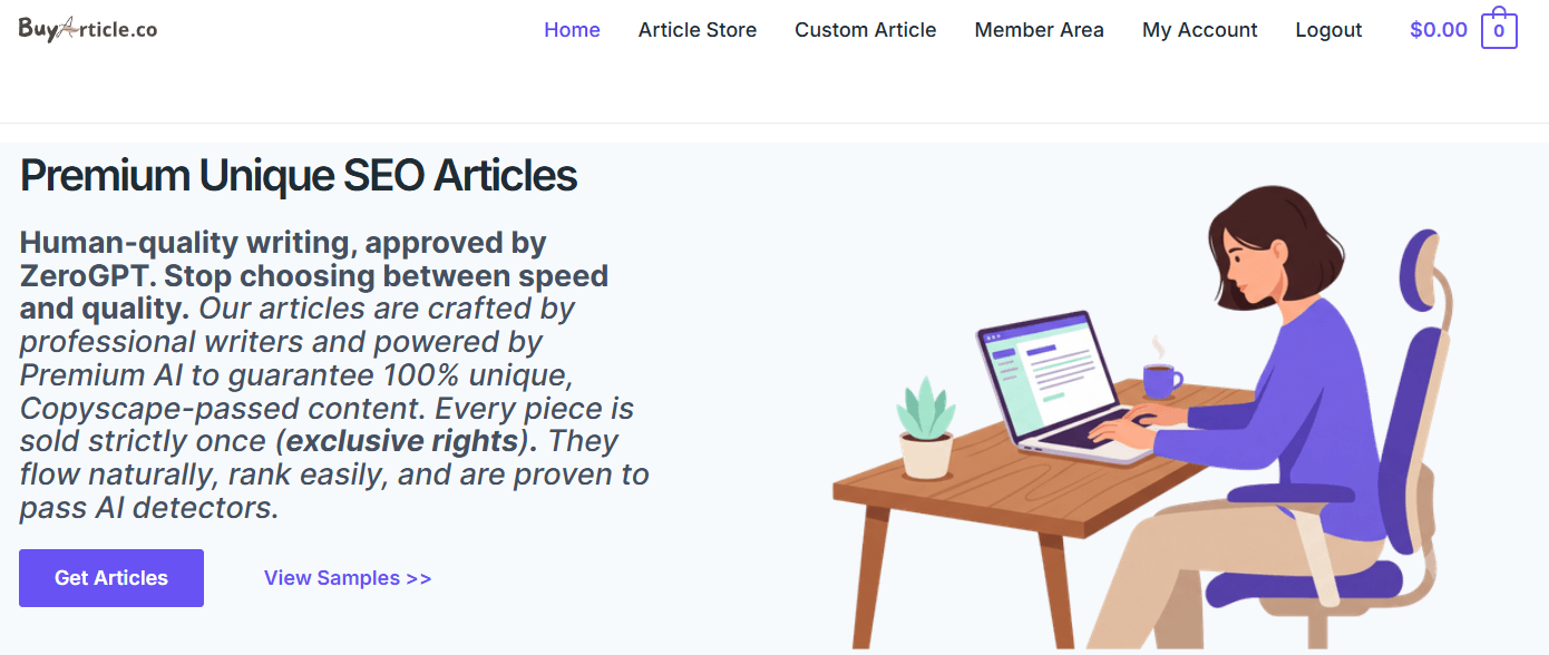 buy articles online buyarticle.co