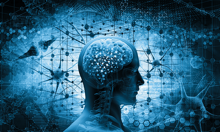 Biaya Tes IQ di Psikolog 2026