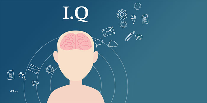 Skor IQ 120 Termasuk Kategori Apa