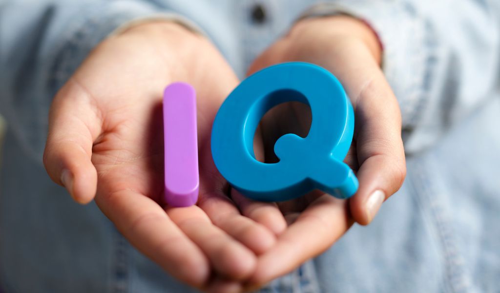 Tes IQ di Perusahaan Tujuannya Apa